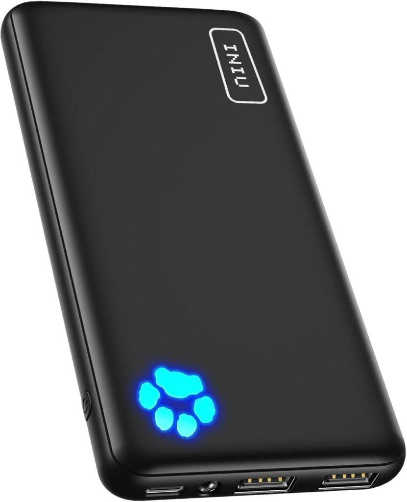 INIU Power Bank 10000mAh caricatore portatile sottile con ricarica rapida USB-C compatibile iPhone Samsung