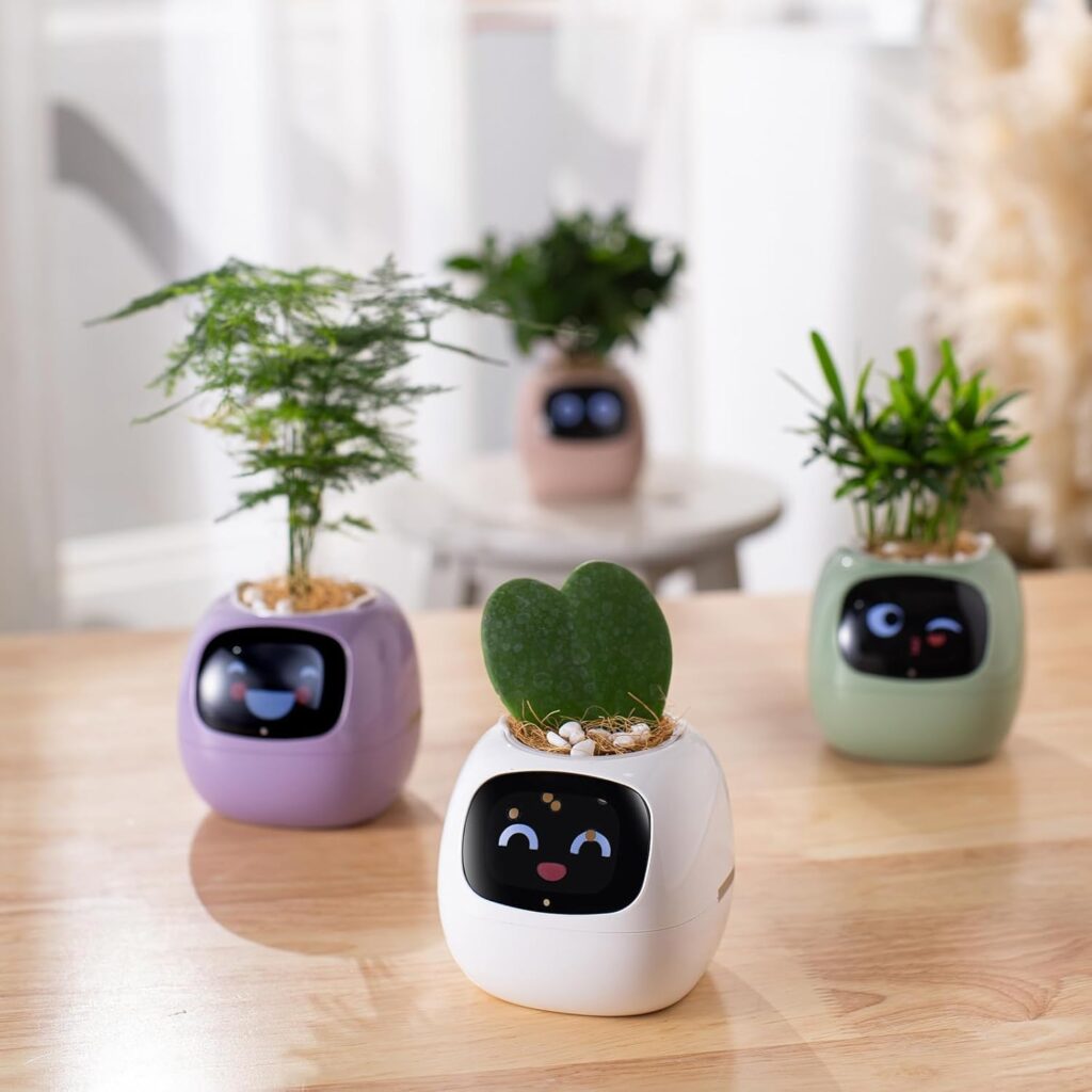 vaso intelligente per piante PLANTSIO con display LCD rosa per scrivania